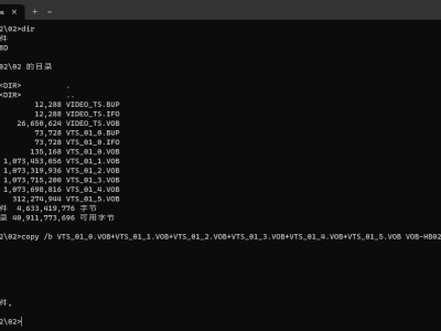 DVD光盘提取和合并