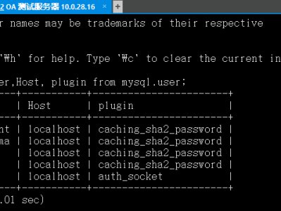 mysql不需要密码，或者乱输入密码都能登录的解决方法